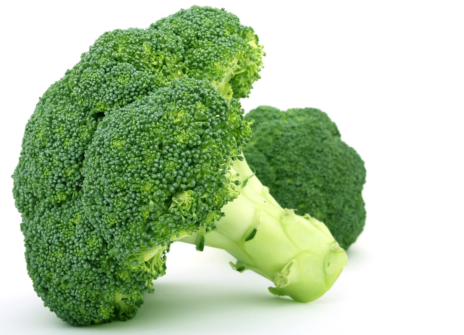 健康要素いっぱい🥦野菜の王様ブロッコリー